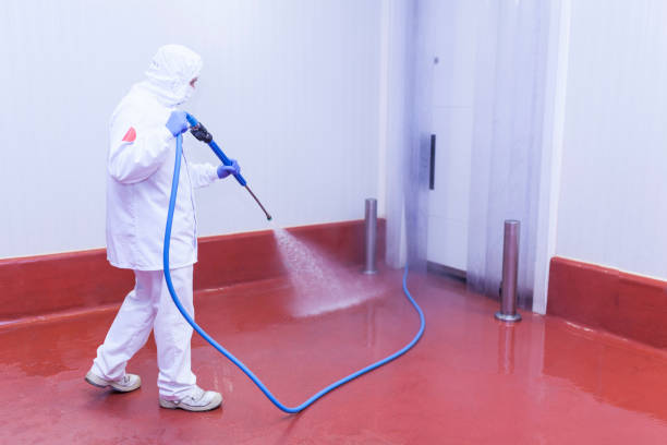 Best Graffiti Removal  in Mentone, IN