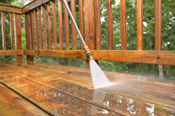 Best Dumpster Area Cleaning  in Mentone, IN